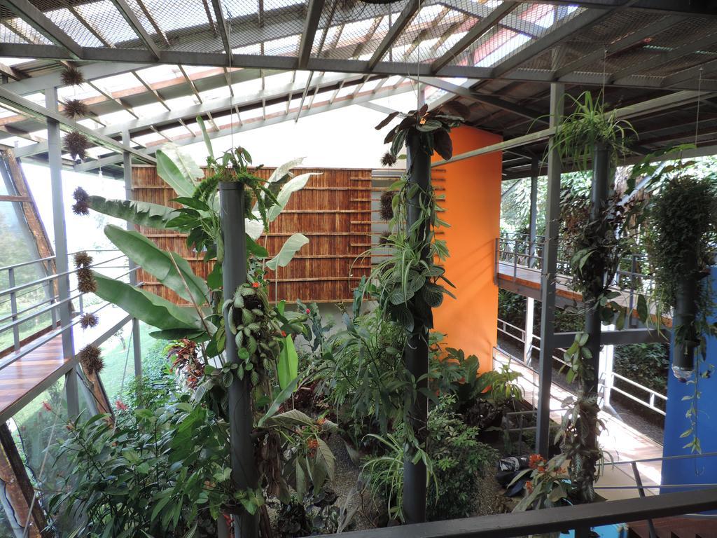 Celeste Mountain Lodge Bijagua Exteriör bild